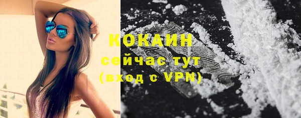 кокс Алексеевка